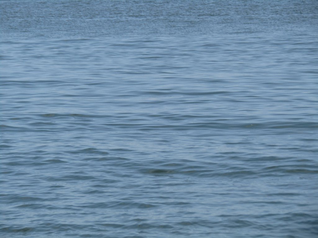 大神子海岸の海の小波が素敵に思います🌊