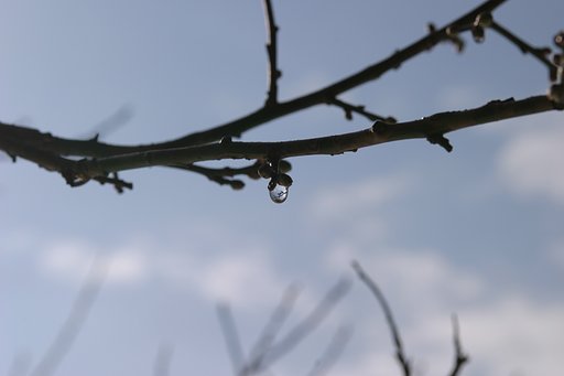 雫のレンズ