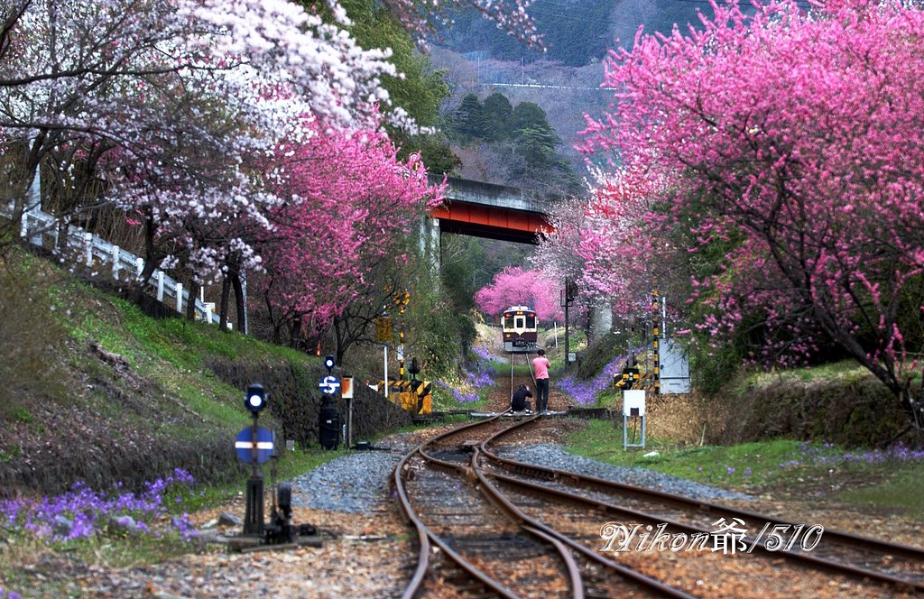 鉄道撮影シ隊