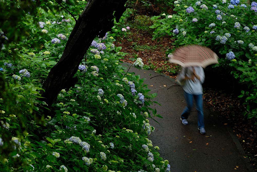 雨の日・・・