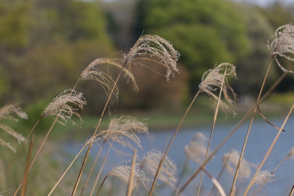 EF100mm F2.8 L MACRO