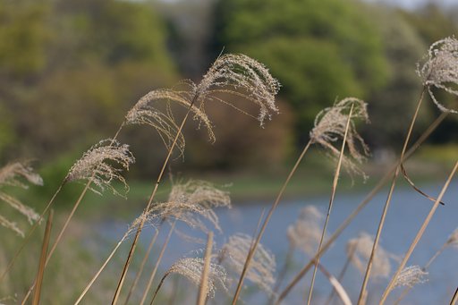 EF100mm F2.8 L MACRO