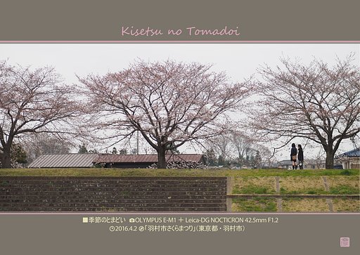 季節のとまどい