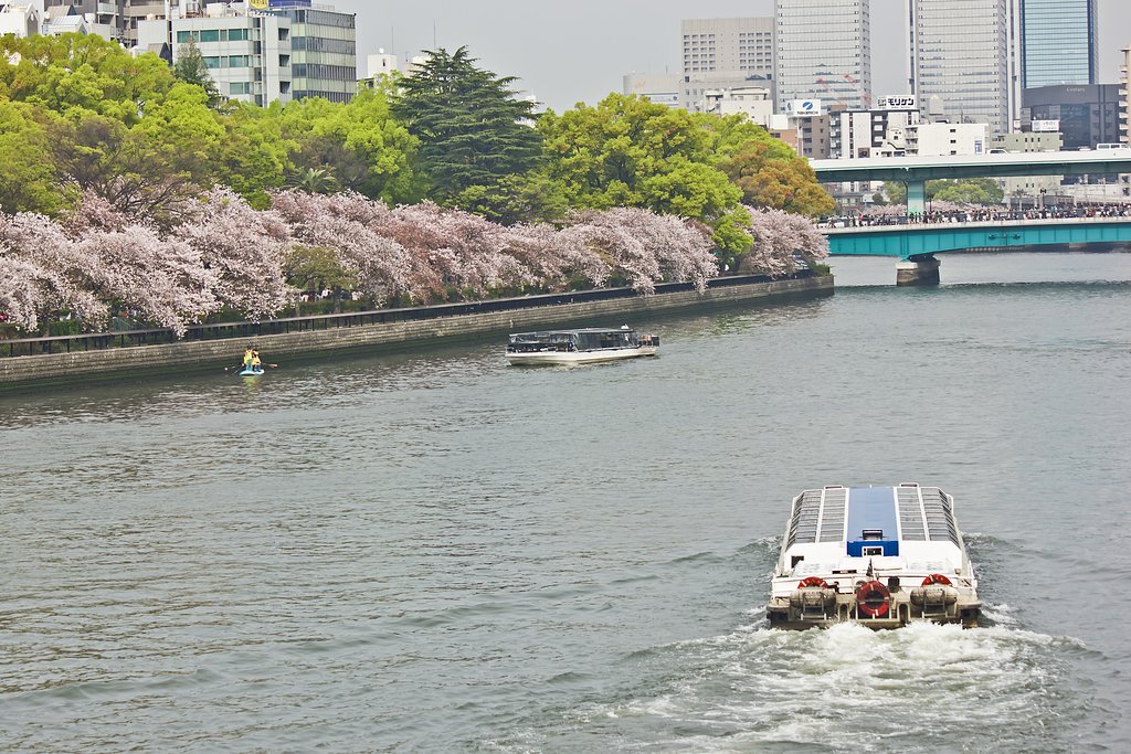 水上バスが行く