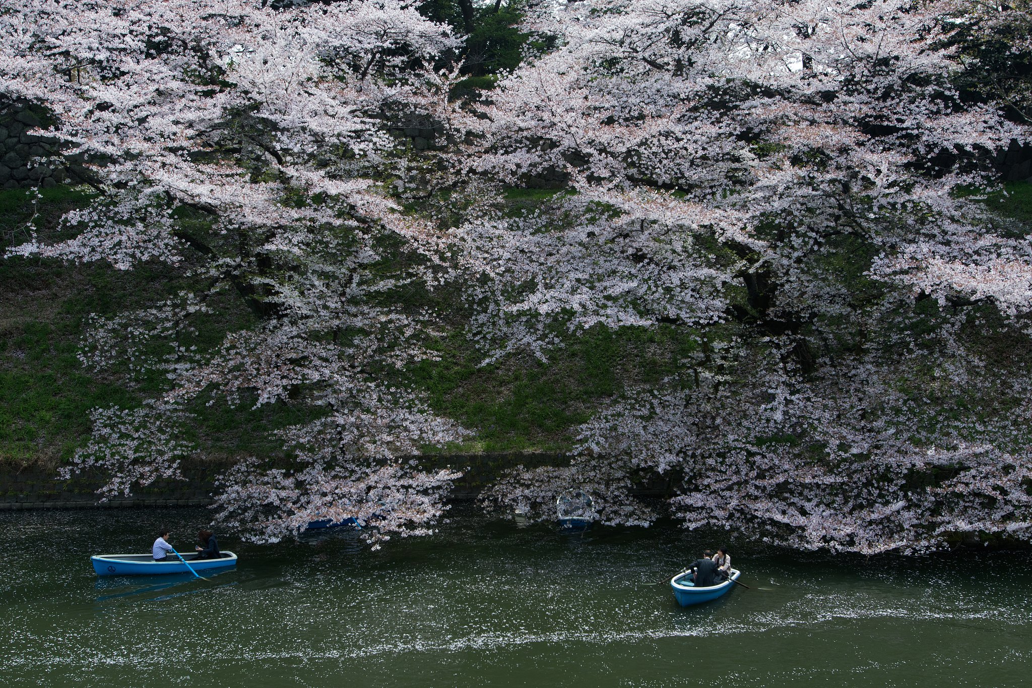 EF16-35mm F2.8 L