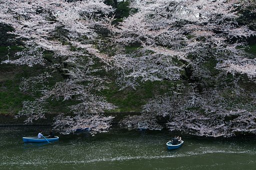 EF16-35mm F2.8 L