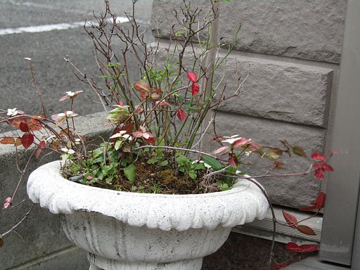 スナックの入口付近に生け花が、、、