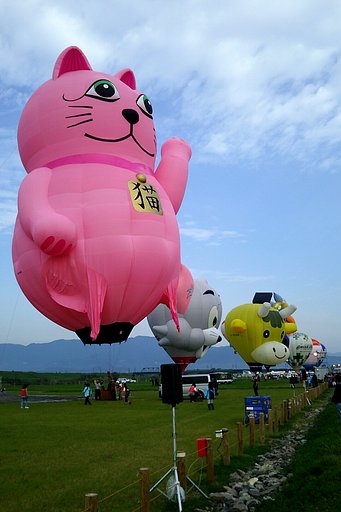 【色】カラフル猫