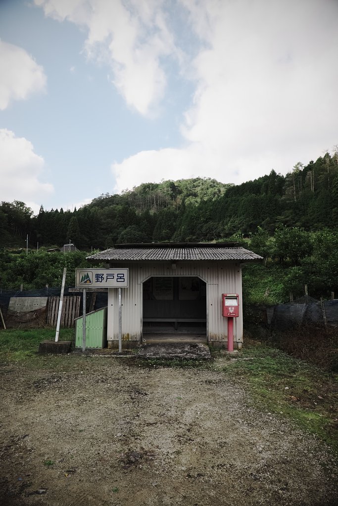 山の中