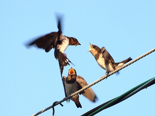 チャンスを逃さずに