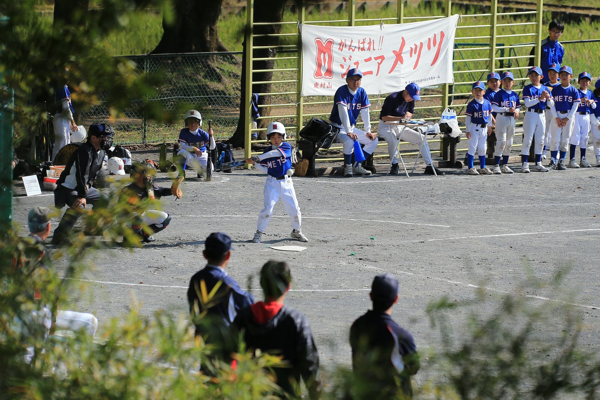 みんなが見つめる