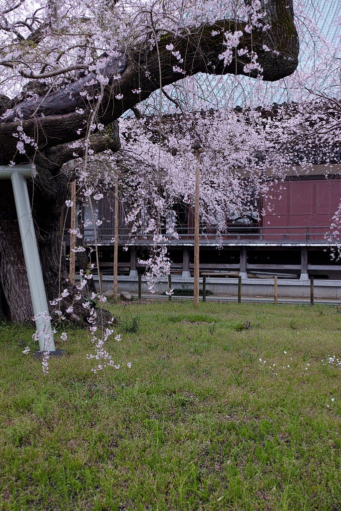 しっとりのつもり