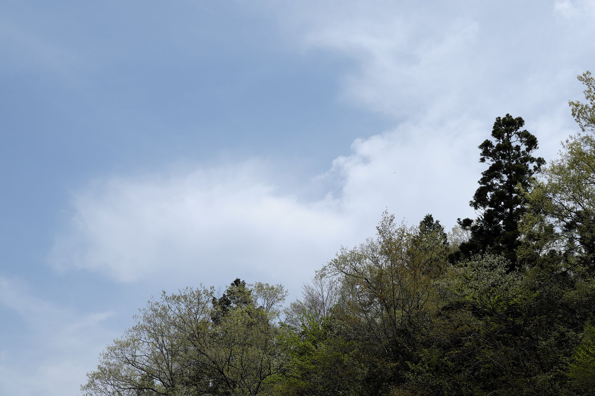 雲