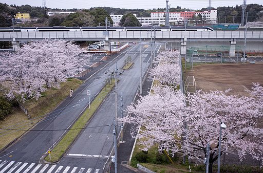 雨の朝