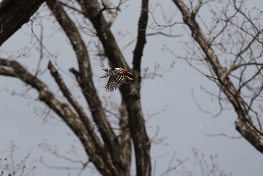 5月2日の写真