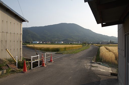 レンズ沼。ではなくて、光学ファインダーのこと。