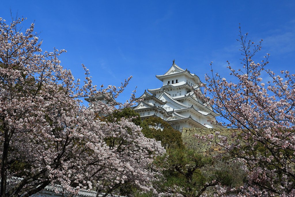 姫路城の春