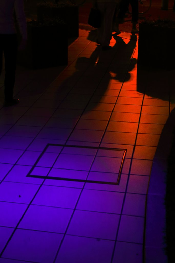 【purple】境界域に滲む紫
