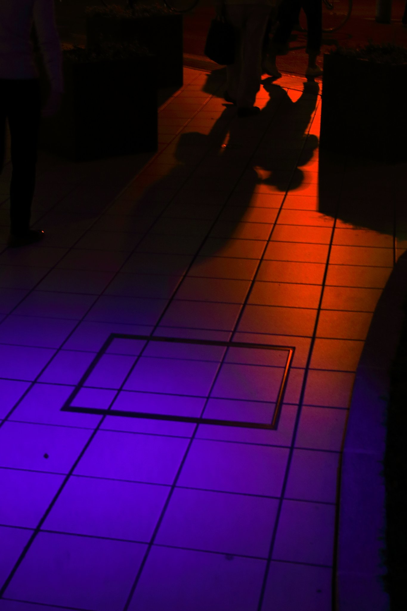 【purple】境界域に滲む紫