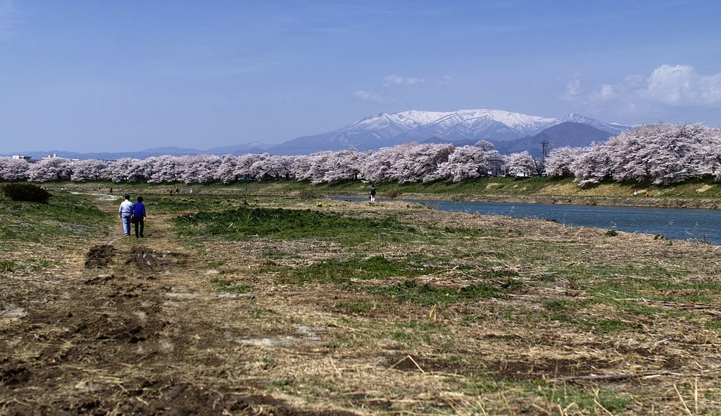 一目千本桜