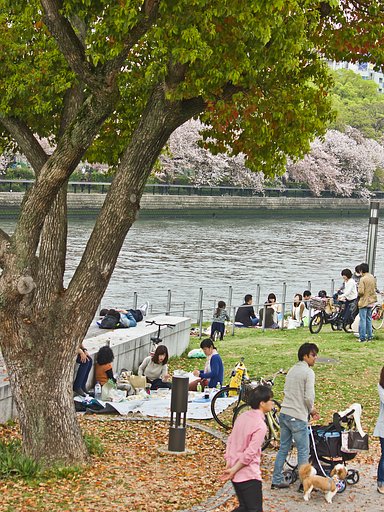 【縦画像】 中之島お花見水景