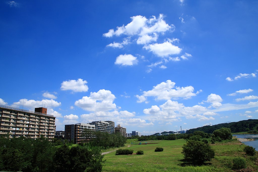 車窓の風景＠多摩市