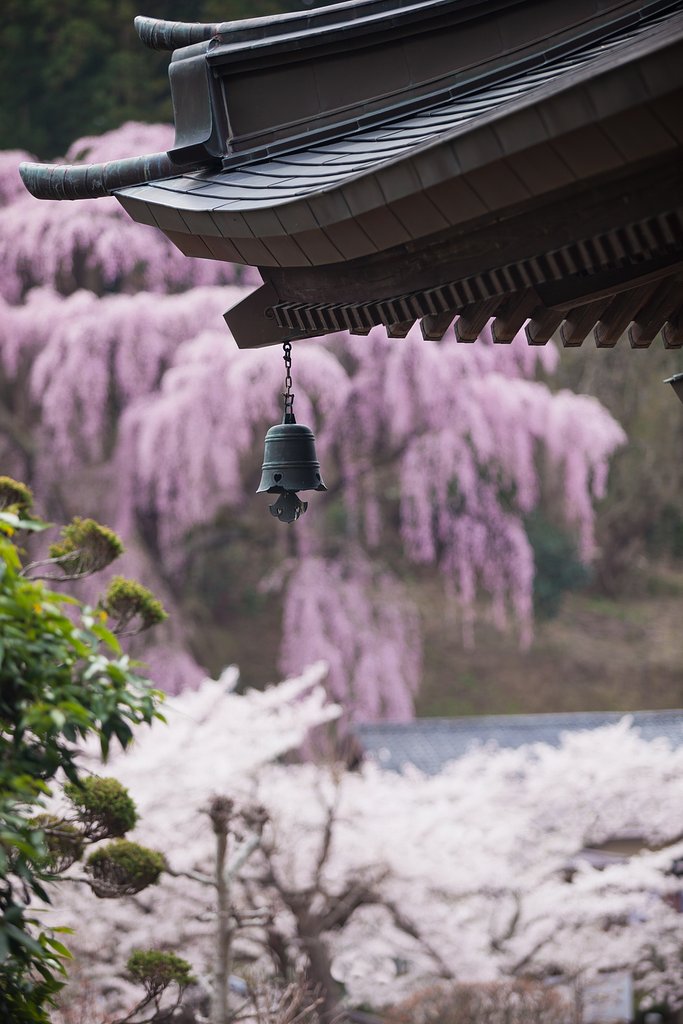 EF70-200 F2.8L