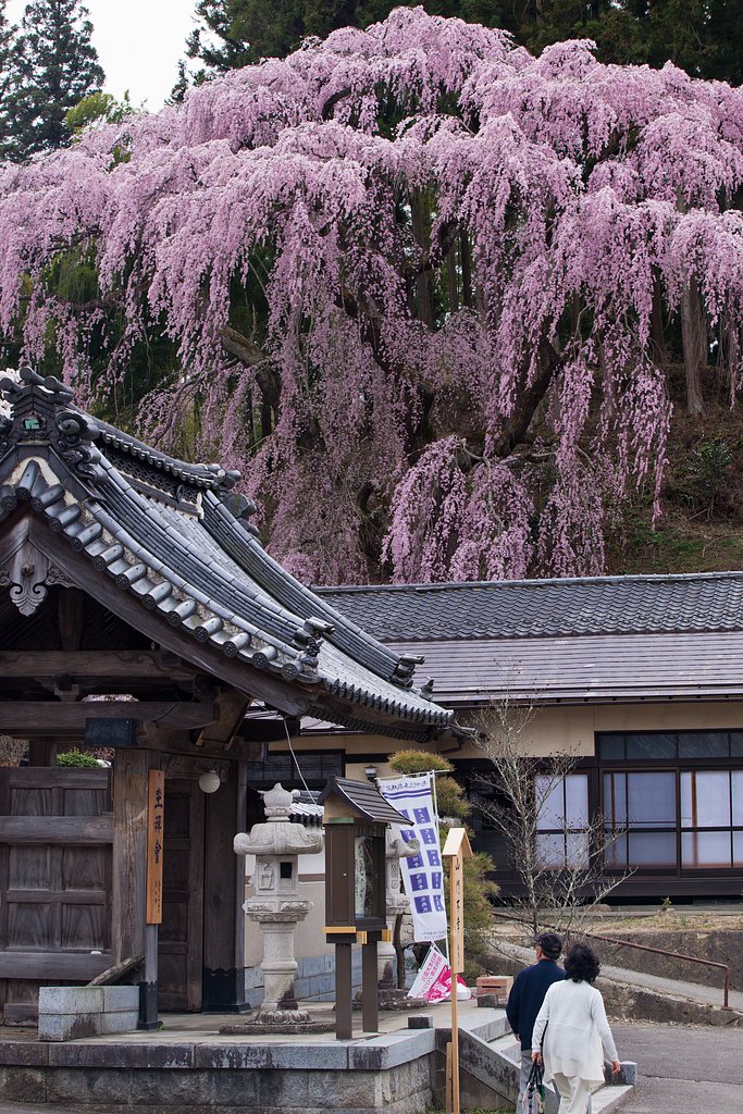 福聚寺