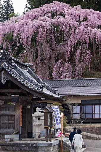 福聚寺