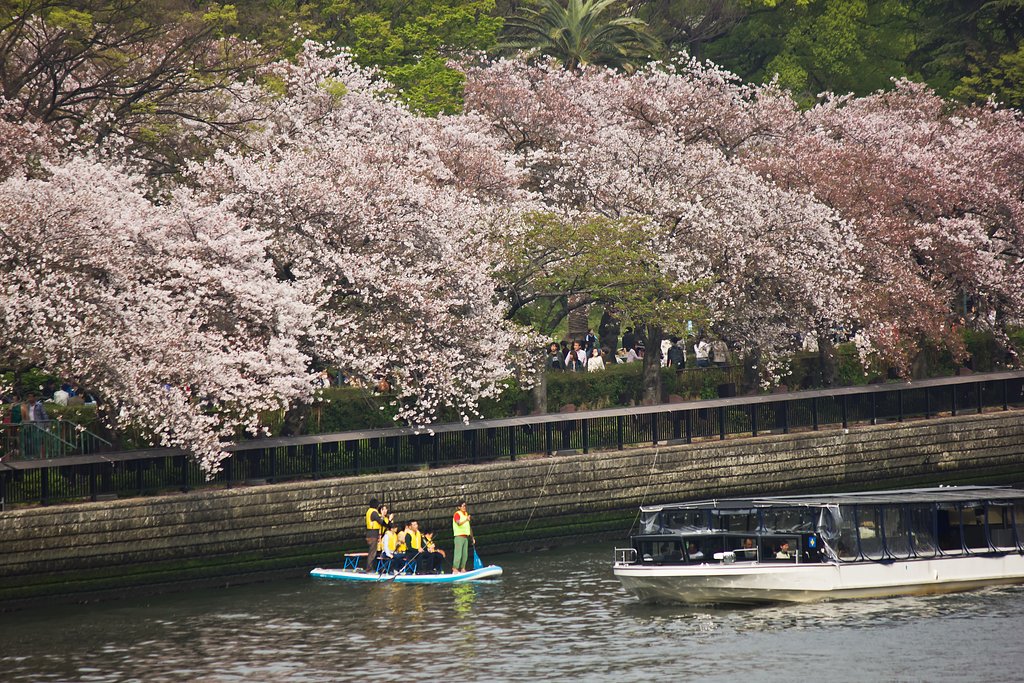 お花見景色中之島