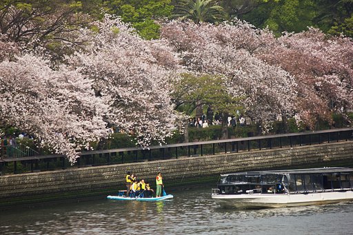 お花見景色中之島