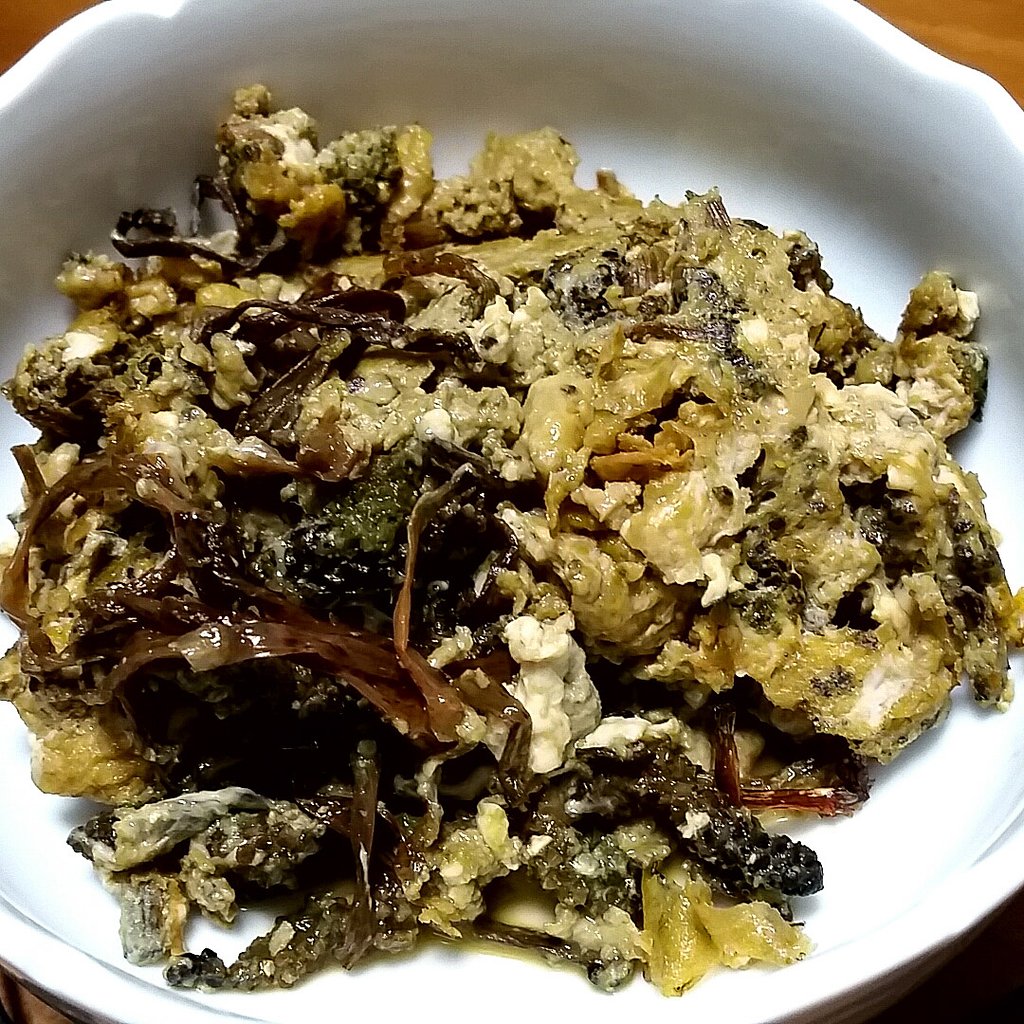 今日の食材
