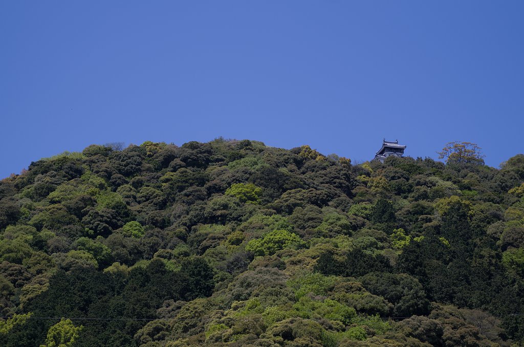 城