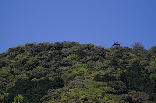 城