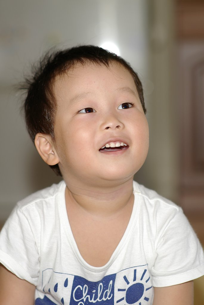 甥っ子翔太