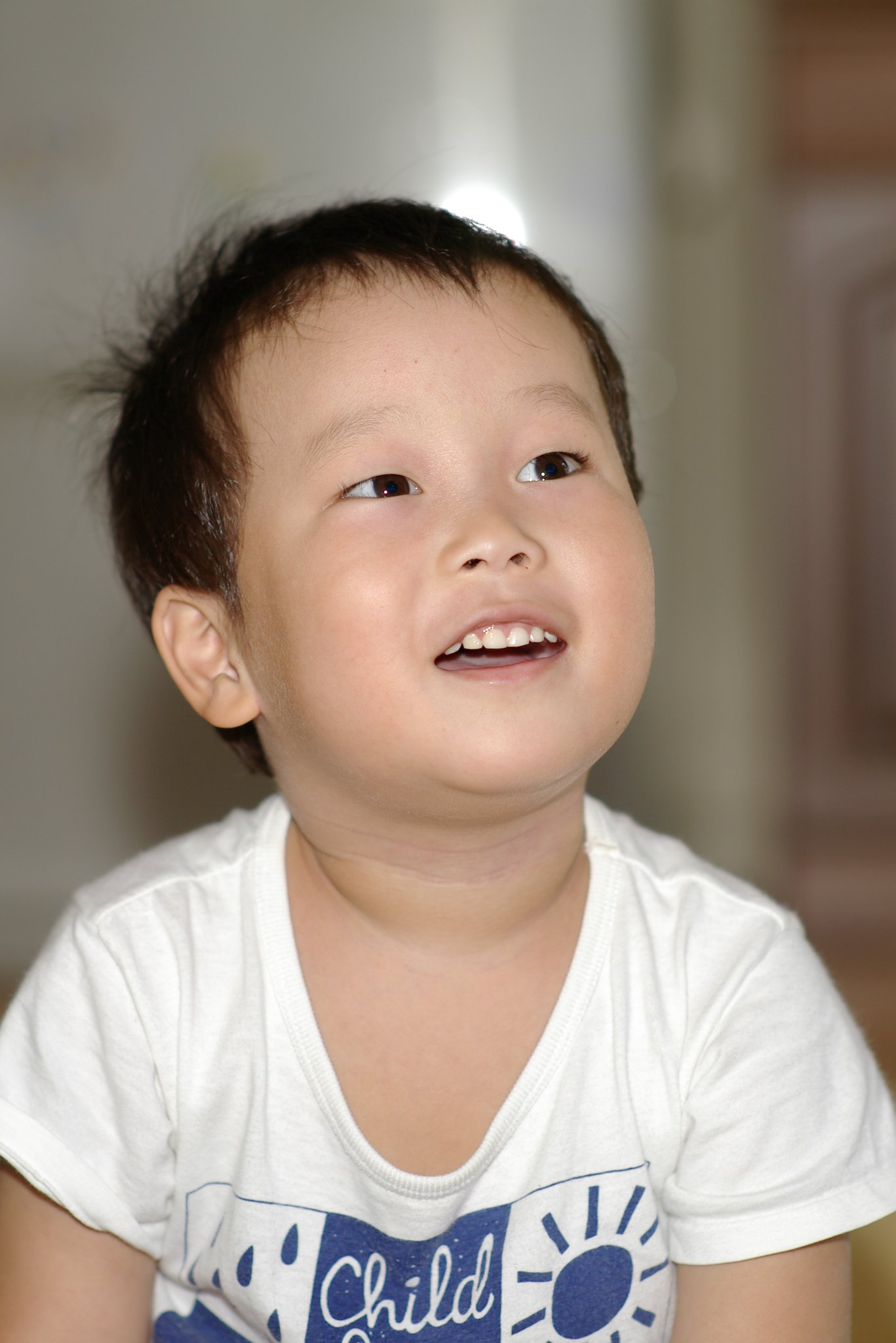 甥っ子翔太