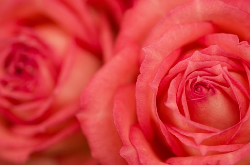 SIGMA MACRO 70mm F2.8