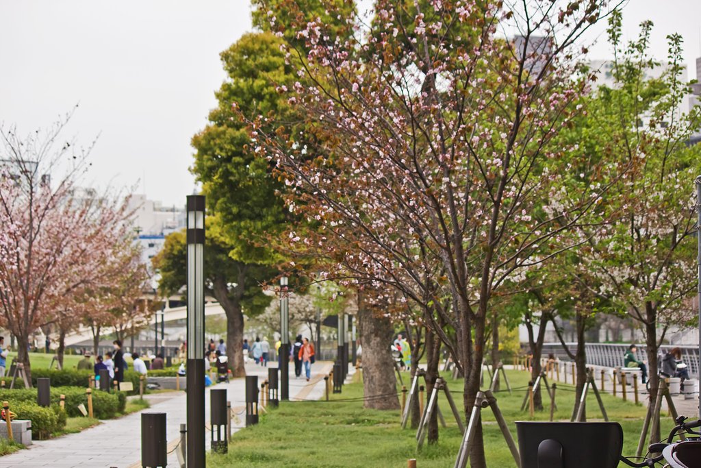 ぼんやり撮った中之島公園