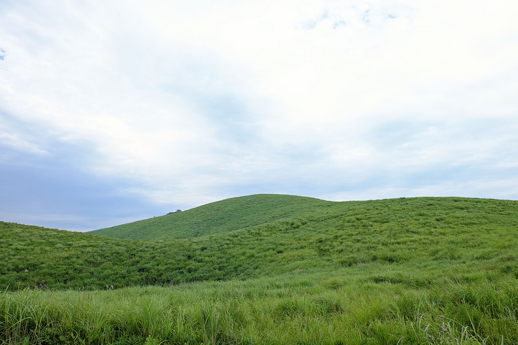 夏の終わり