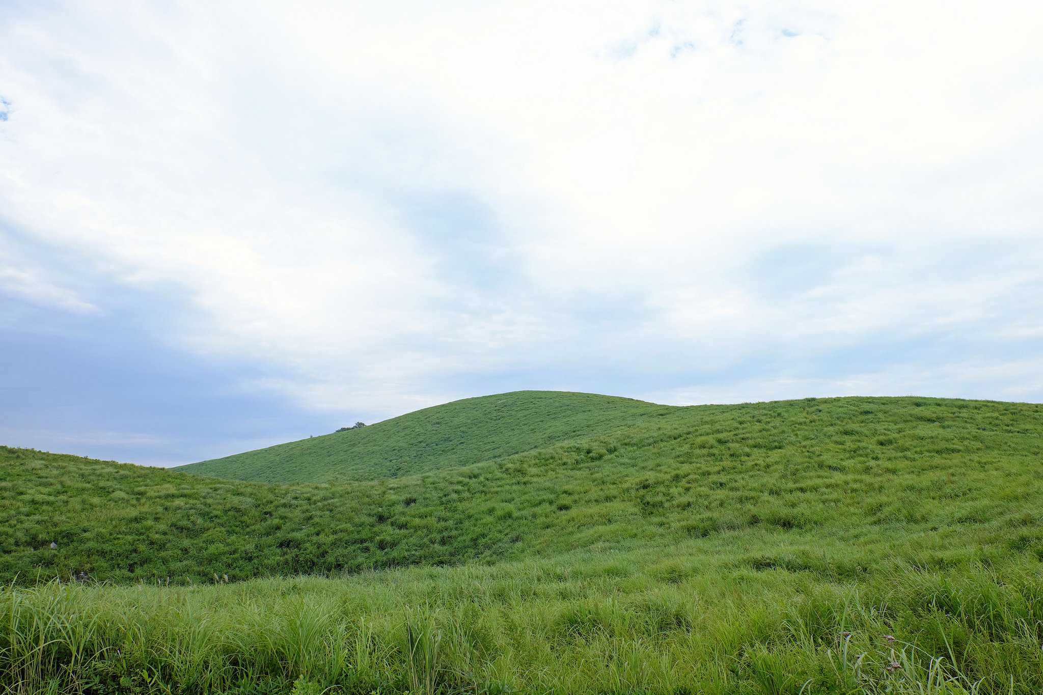 夏の終わり