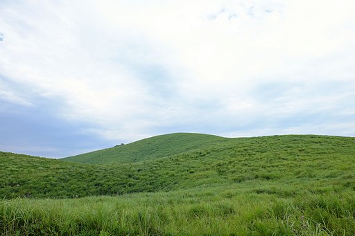 夏の終わり