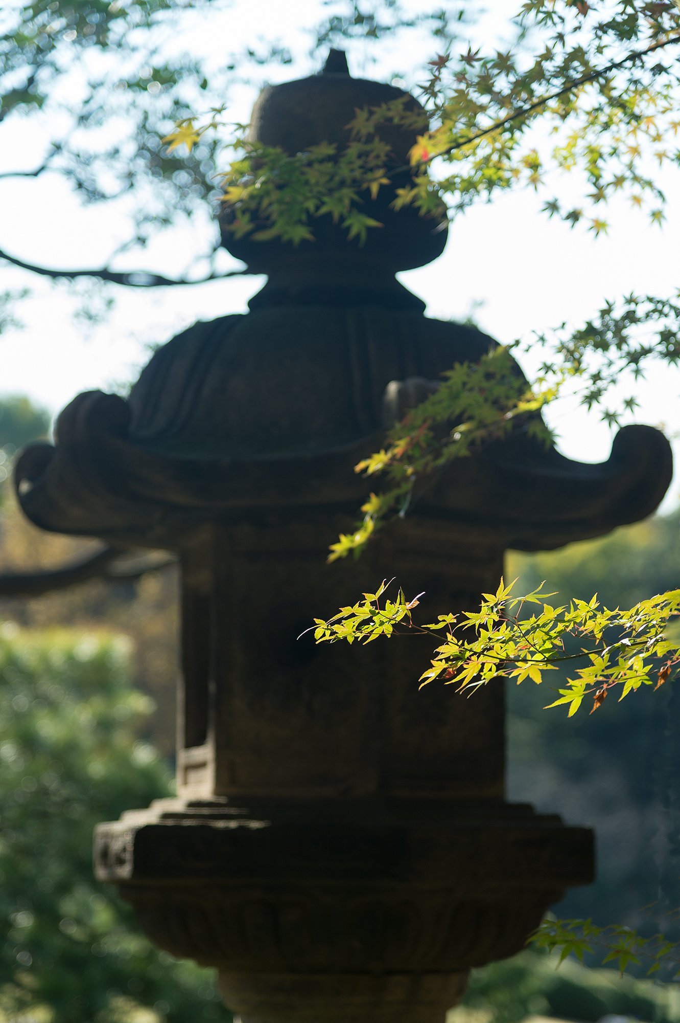AF-S NIKKOR 24-120mm F4G ED VR