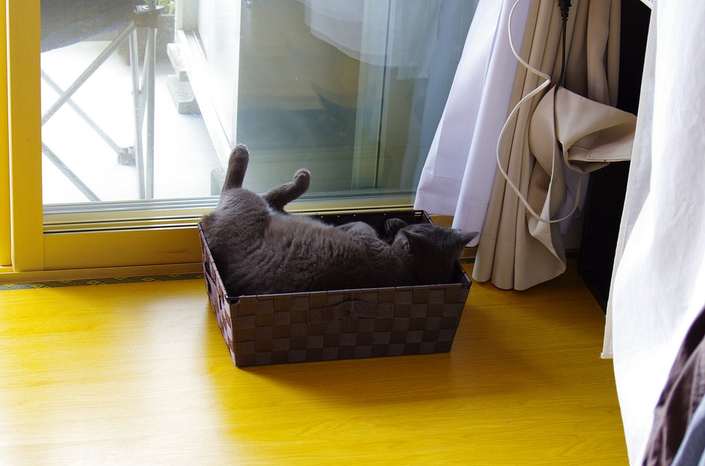 くつろぎ