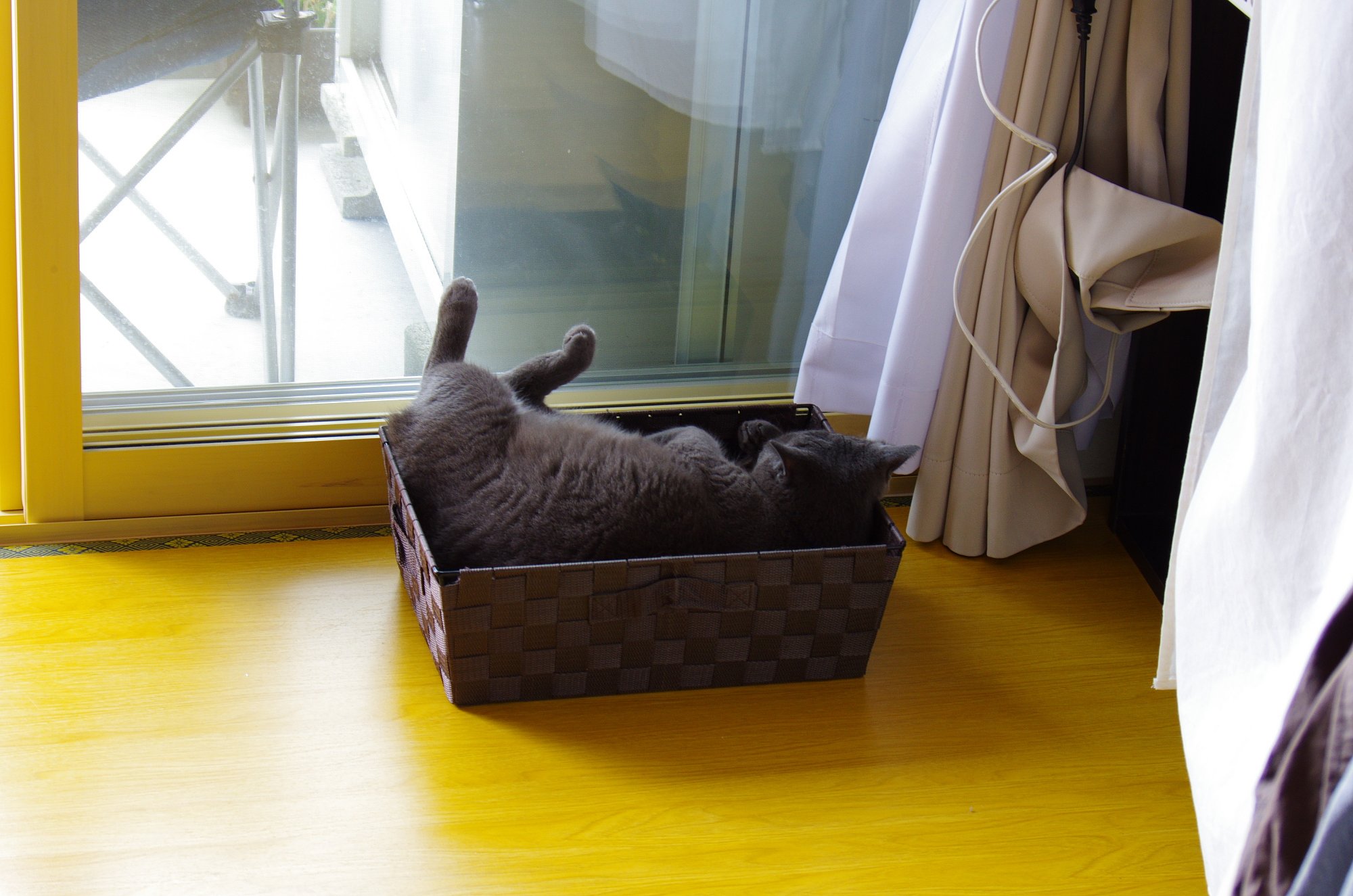くつろぎ