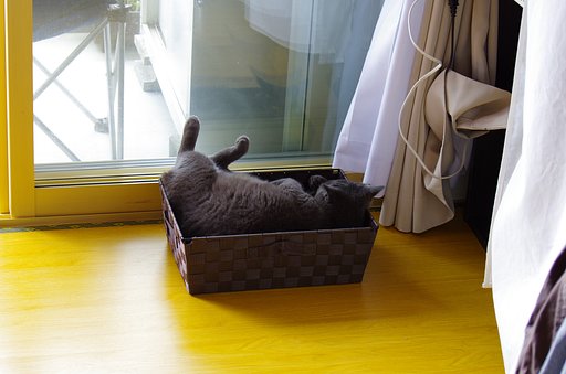 くつろぎ