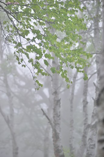 5月30日の写真