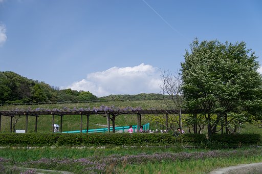 平穏である事
