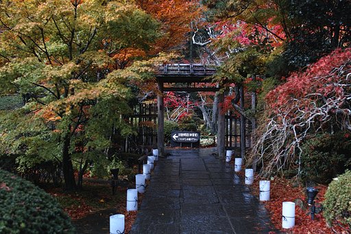 円通院