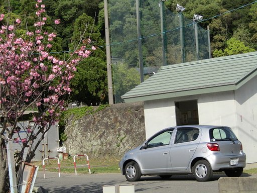 ＳＸ４１０ＩＳ固定レンズマクロ～２０００ミリ