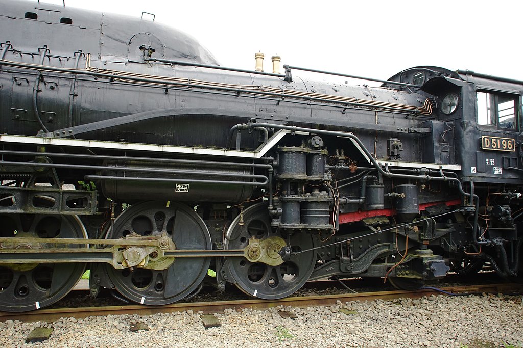 D51-96 ナメクジ